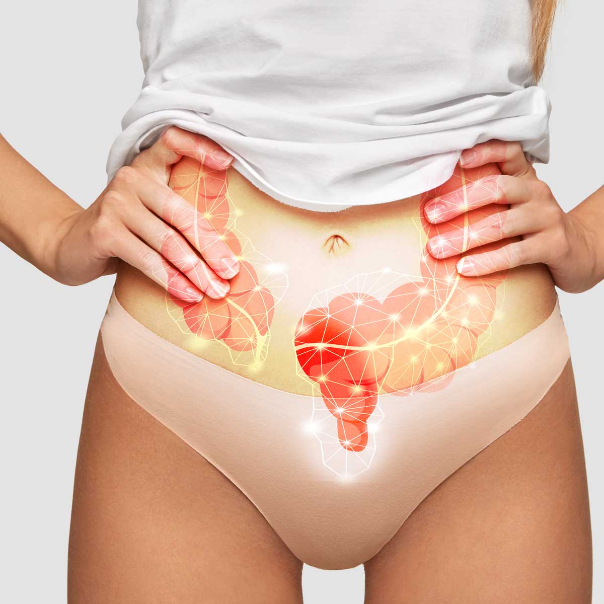 Fisioterapia Coloproctológica, inducción miosfacial y terapia visceral en la esfera abdominopelvica Bilbao