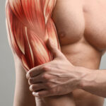musculo